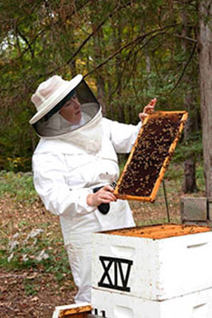 Beekeeping