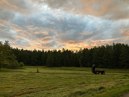 Mowed Hay Field